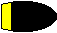 AVN